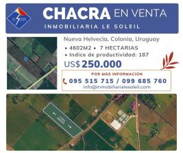 Chacra en Colonia (NUEVA HELVECIA)