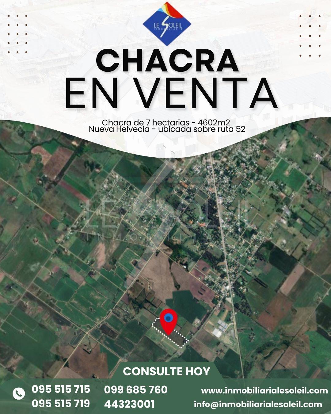 Chacra en Colonia (NUEVA HELVECIA)