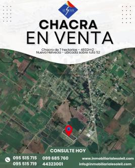 Chacra en Colonia (NUEVA HELVECIA)