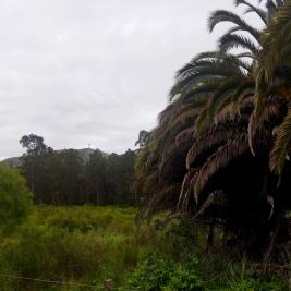 Chacra en Piriapolis (Cerro Pan De Azúcar)