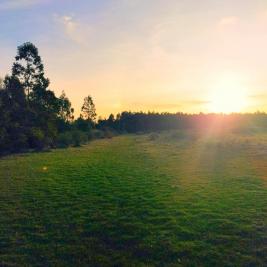 Chacra en San Carlos