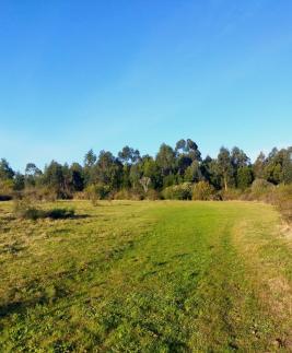 Chacra en San Carlos