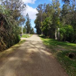 Terreno en Bella Vista