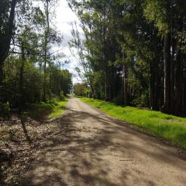 Terreno en Bella Vista