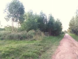 Terreno en Piriapolis (Barra de Portezuelo)