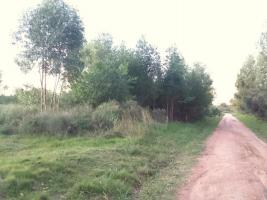 Terreno en Piriapolis (Barra de Portezuelo)