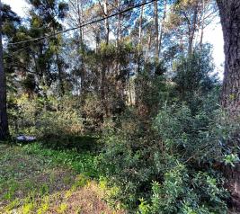 Terreno en Piriapolis (Country)
