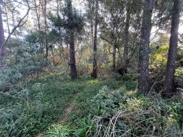 Terreno en Piriapolis (Country)