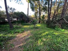 Terreno en Piriapolis (Country)