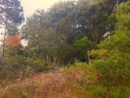 Terreno en Piriapolis (Country)