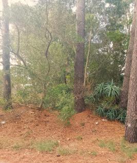 Terreno en Piriapolis (Country)