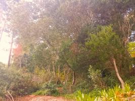 Terreno en Piriapolis (Country)