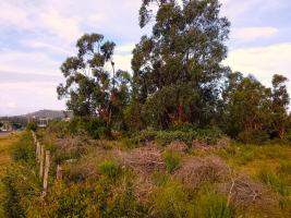 Terreno en Piriapolis (Pueblo Obrero)