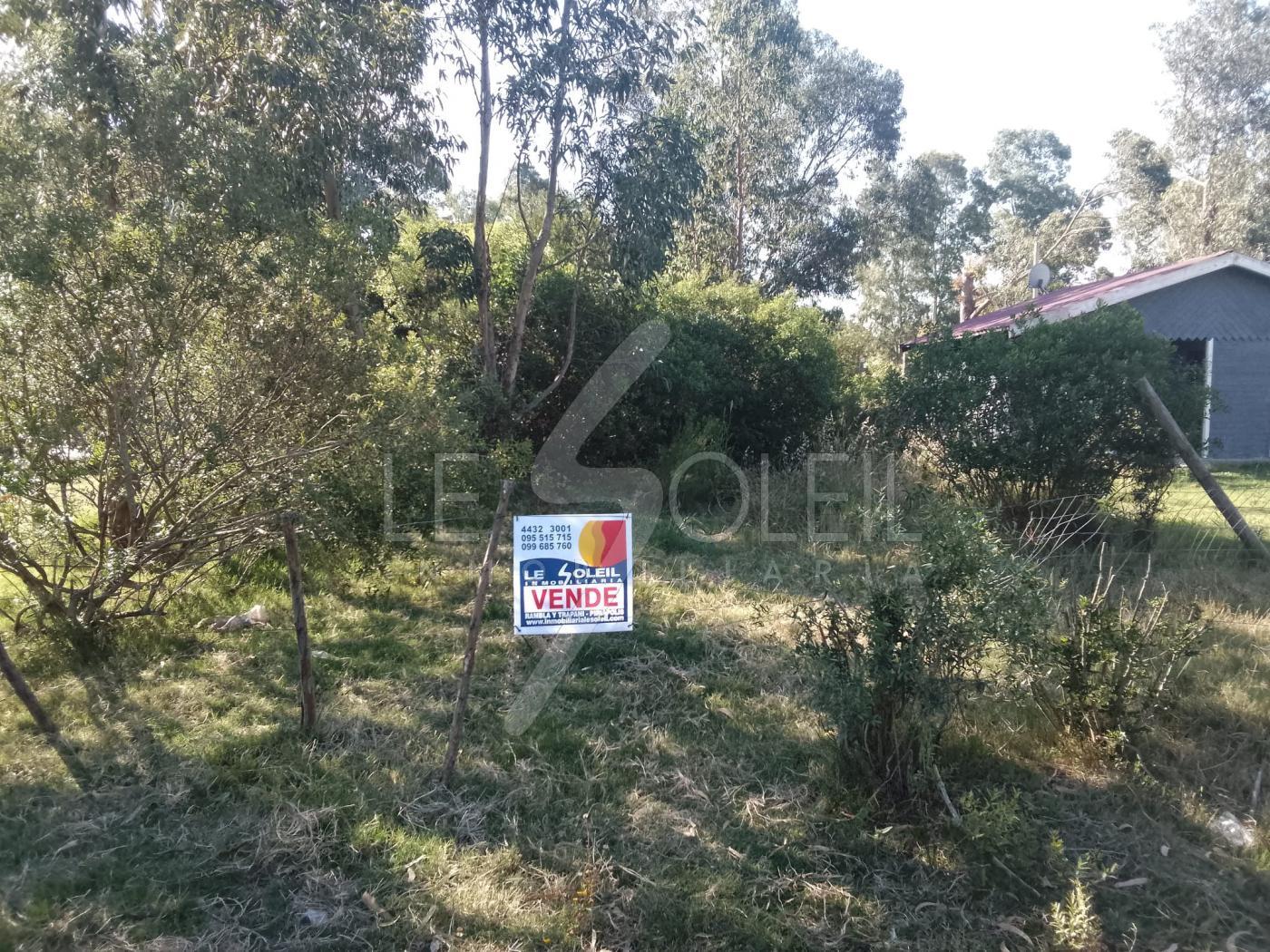 Terreno en Playa Grande