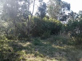 Terreno en Playa Grande