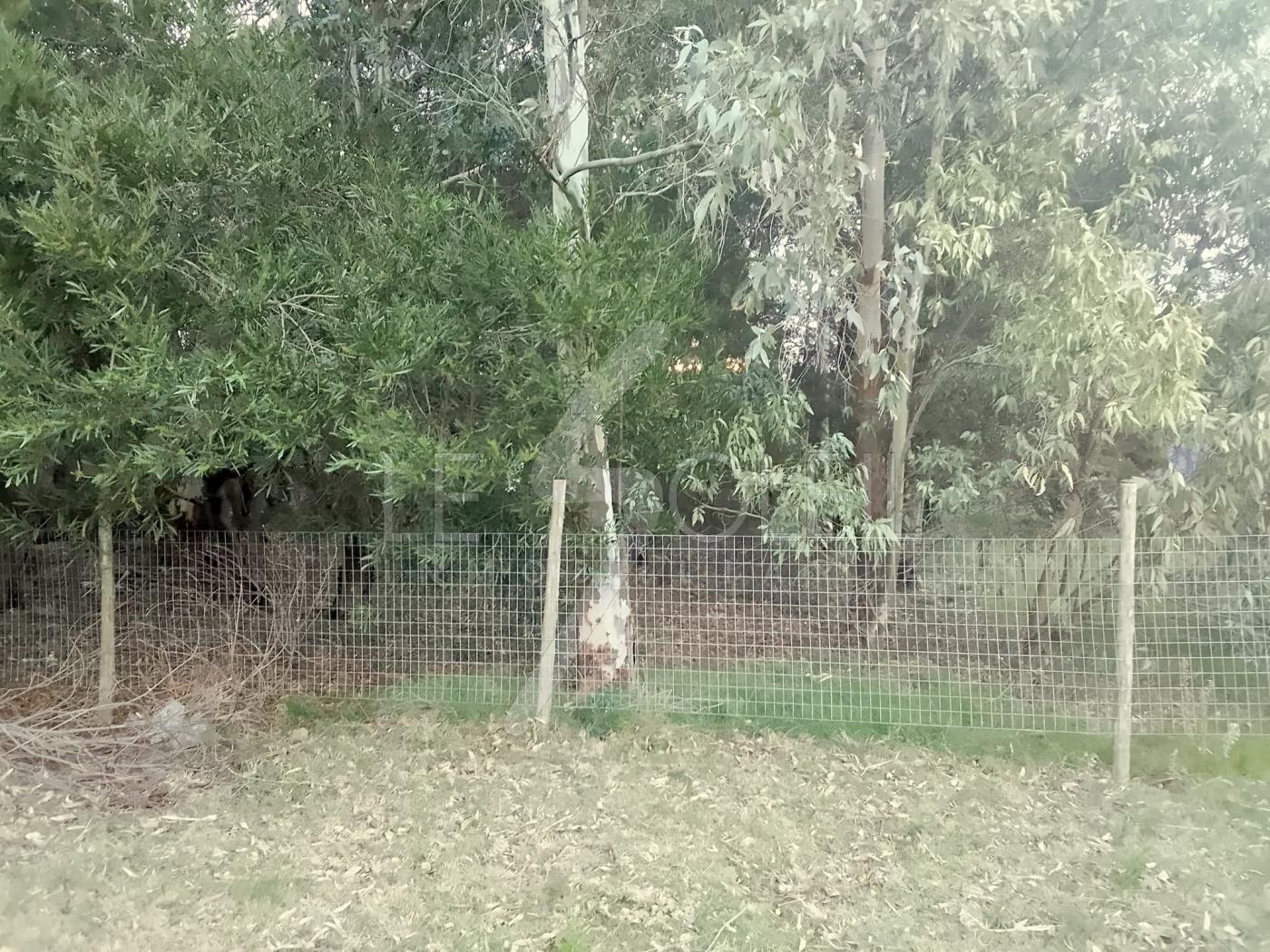 Terreno en Playa Hermosa