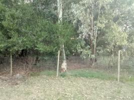 Terreno en Playa Hermosa