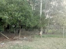 Terreno en Playa Hermosa