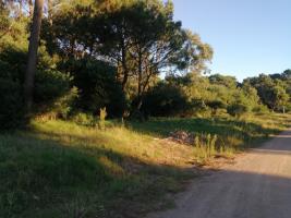 Terreno en Punta Colorada