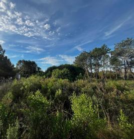 Terreno en Punta Colorada