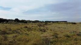 Terreno en Punta Negra