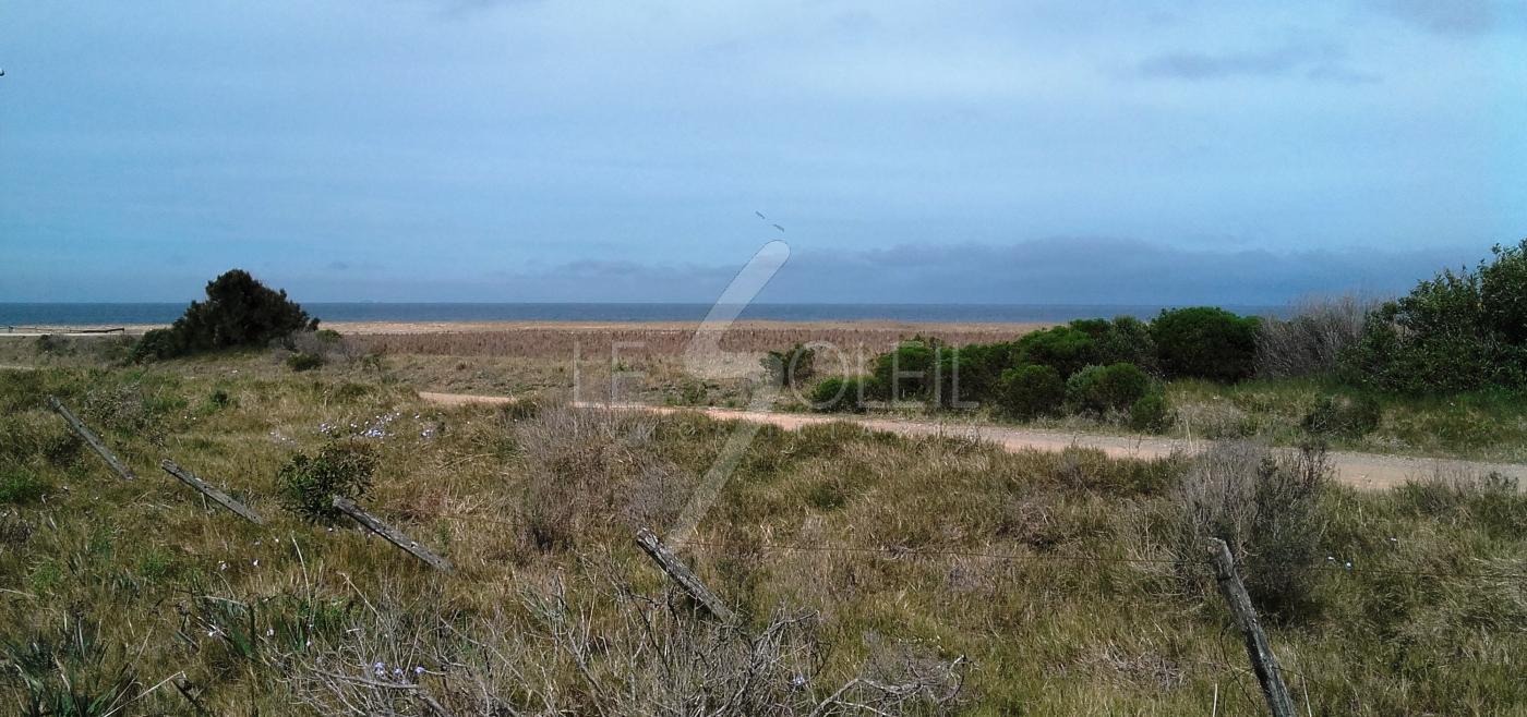 Terreno en Punta Negra