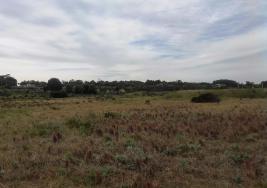 Terreno en Punta Negra