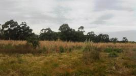 Terreno en Punta Negra