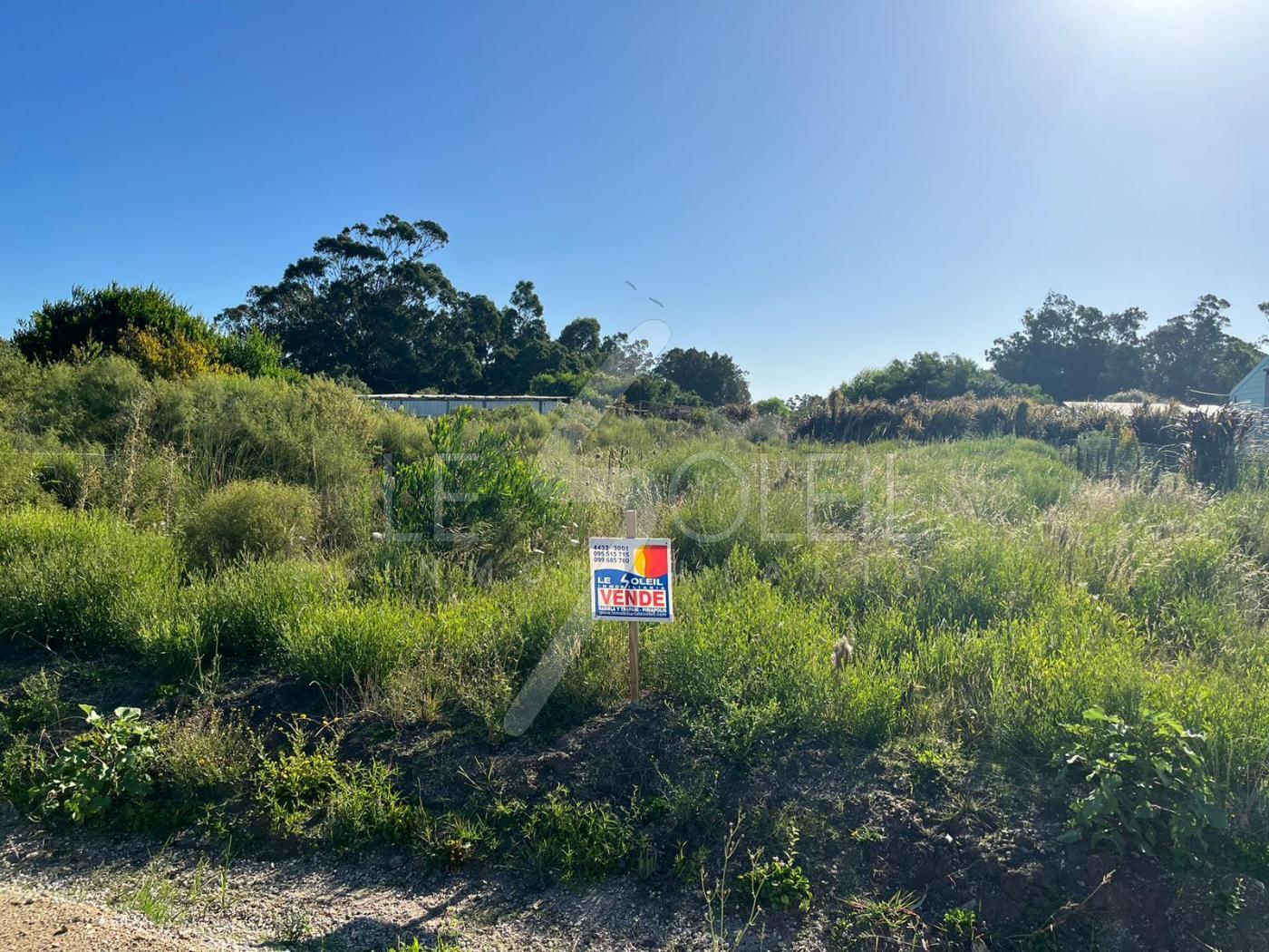 Terreno en Punta Negra