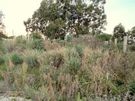 Terreno en Punta Negra