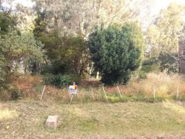 Terrenos en Playa Verde