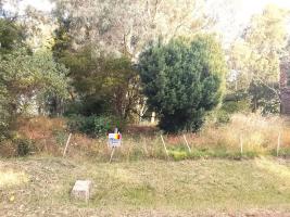 Terrenos en Playa Verde